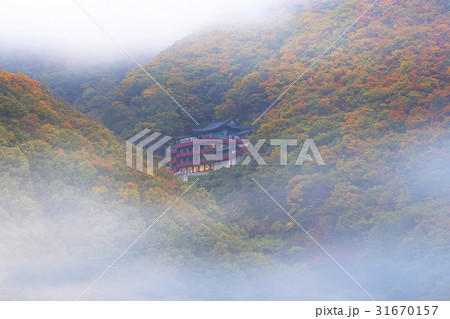 観音寺 紅葉 韓国 31670157