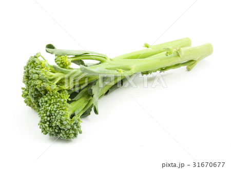 broccolini baby broccoli isolated broccolini baby broccoli isolated 31670677