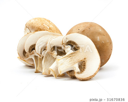 fresh champignons brown version isolated fresh champignons brown version isolated 31670836