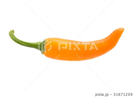 orange hot chili pepper isolated  31671209