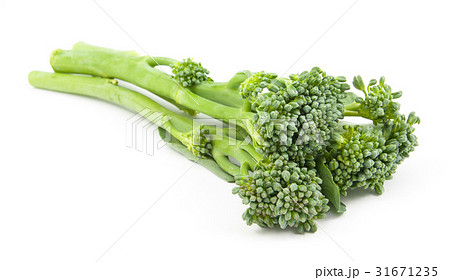 broccolini baby broccoli isolated 31671235