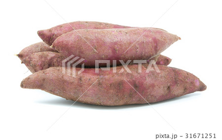 tapioca plants cassava closeup isolated 31671251