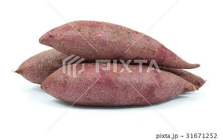 tapioca plants cassava closeup isolated 31671252