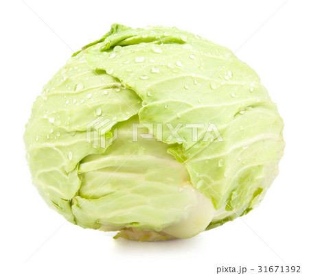 green cabbage isolated green cabbage isolated 31671392