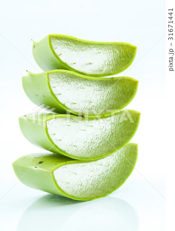 aloe vera fresh leaf isolated 31671441