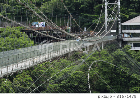 谷瀬の吊り橋 31671479