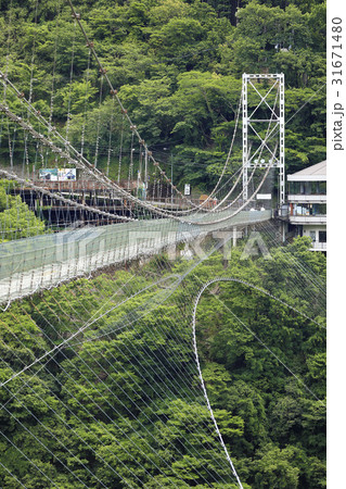 谷瀬の吊り橋 31671480