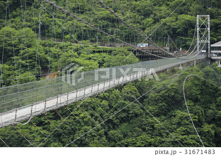 谷瀬の吊り橋 谷瀬の吊り橋 31671483