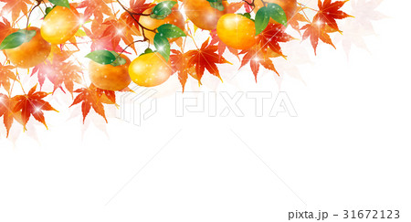 紅葉 柿 秋 背景 紅葉 柿 秋 背景 31672123