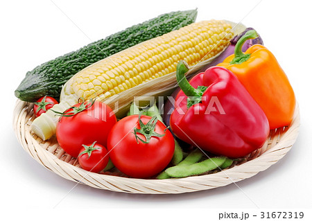 夏野菜の集合 31672319