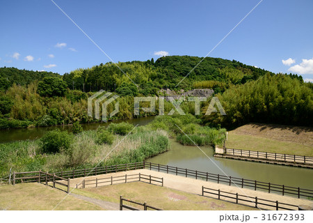水上テラスと釣り広場 千葉県市原市 高滝ダム 水上テラスと釣り広場 千葉県市原市 高滝ダム 31672393