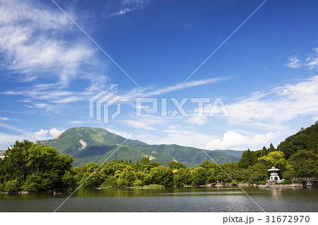 伊吹山&三島池 (8) 31672970