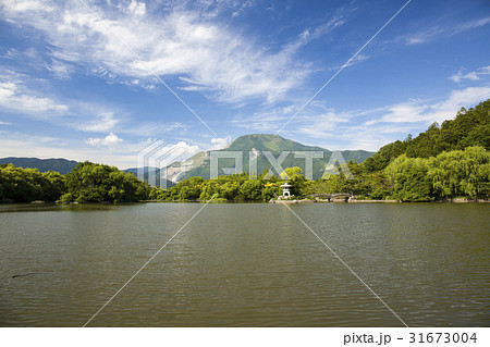 伊吹山&三島池 (13) 31673004