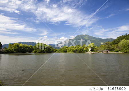 伊吹山&三島池 (18) 31673009