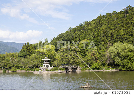 伊吹山&三島池 (26) 伊吹山&三島池 (26) 31673055