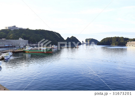 朝の勝浦湾 31673201