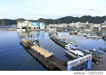 朝の勝浦湾 31673202