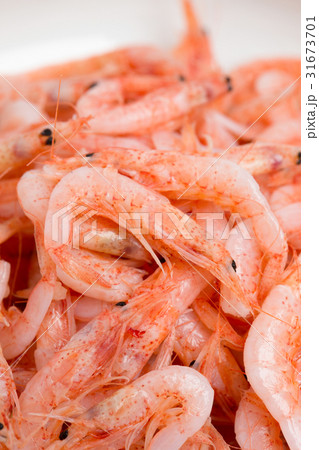 サクラエビ 31673701