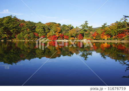 紅葉の池 31676759