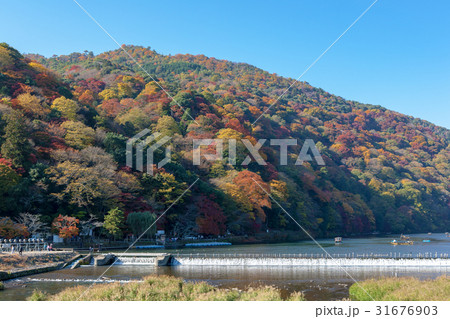 嵐山(紅葉　11月) 31676903