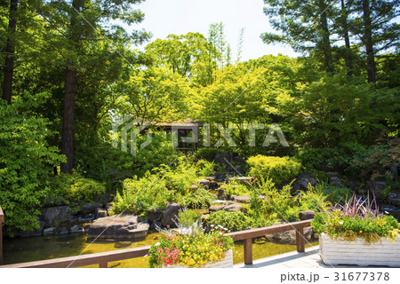 名古屋都市風景・新緑のフラリエ 31677378