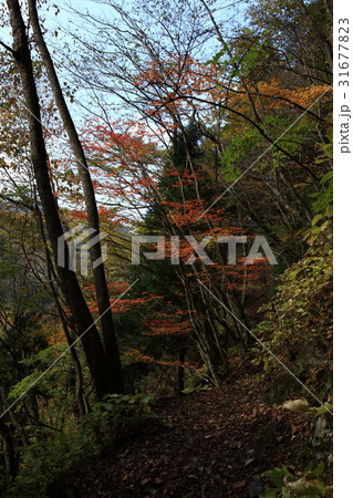大峰山より 大峰山より 31677823