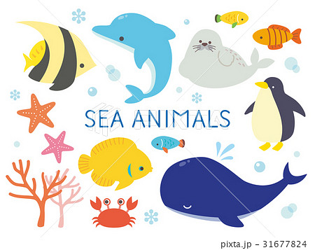 海の生き物イラストのイラスト素材
