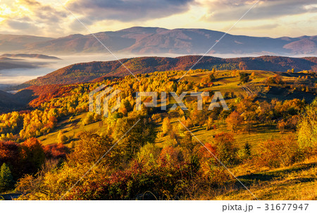 foggy and hot sunrise in Carpathian mountains 31677947