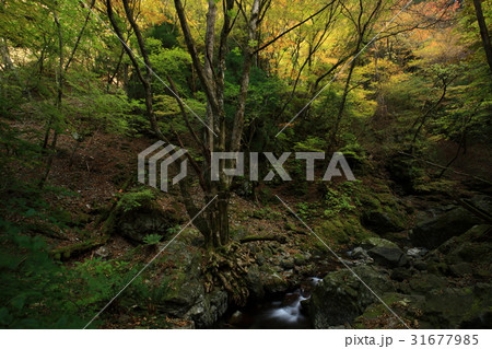大峰山より 31677985