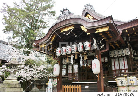 安井金毘羅宮 31678036