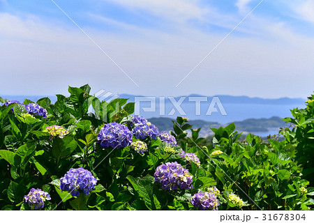 【愛知県】三ヶ根山スカイライン展望台からの眺望 31678304