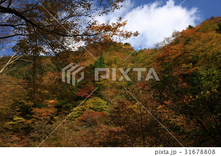 大峰山より 31678808