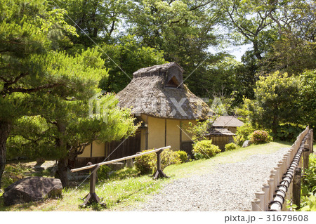 玄宮園 (3) 玄宮園 (3) 31679608