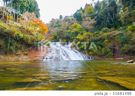 養老渓谷 （粟又の滝） 秋 31681496