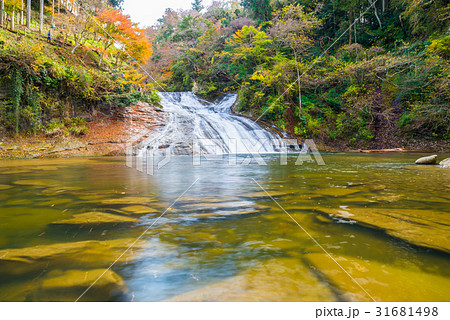 養老渓谷 (粟又の滝) 秋 養老渓谷 (粟又の滝) 秋 31681498