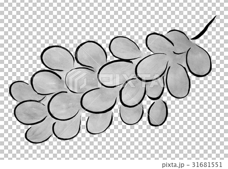マスカット <水墨画のくだもの> マスカット <水墨画のくだもの> 31681551