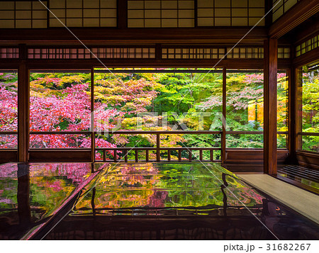 錦秋の瑠璃光院 31682267