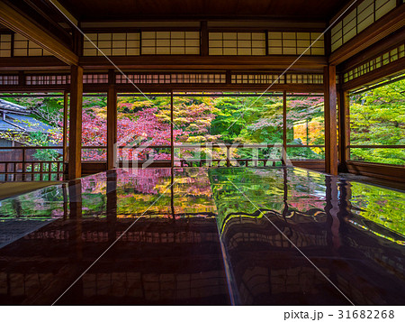 錦秋の瑠璃光院 錦秋の瑠璃光院 31682268