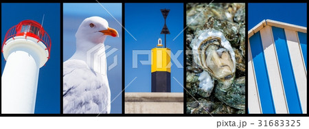 panoramic photo collage sea, beach, boat concept 31683325