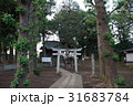 新緑の神社 新緑の神社 31683784