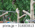 つまんない つまんない 31683813