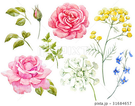 Watercolor floral set 31684657