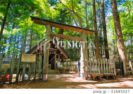宝登山神社 奥宮 宝登山神社 奥宮 31685037