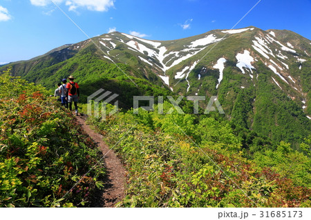 上越国境・大源太山稜線から見る残雪の平標山・仙ノ倉山 31685173