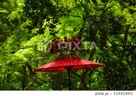 京都 葵祭 京都 葵祭 31685863