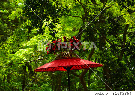 京都 葵祭 京都 葵祭 31685864