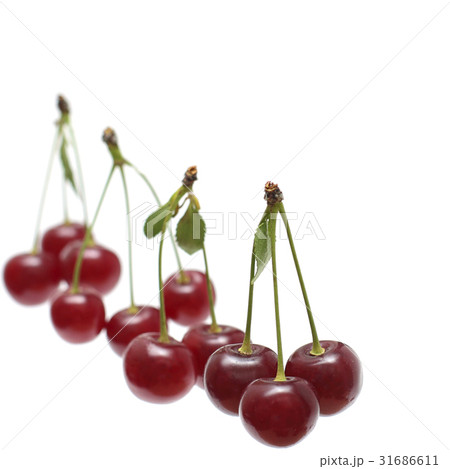 Fresh red cherry on white background Fresh red cherry on white background 31686611