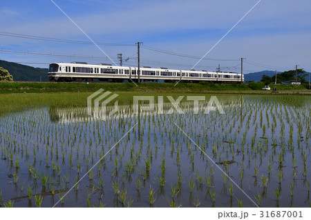 鉄道 列車 山陰本線 京都口 水田 田んぼ 水鏡 早苗 稲 221系 千代川~並河 亀岡市 JR西日 鉄道 列車 山陰本線 京都口 水田 田んぼ 水鏡 早苗 稲 221系 千代川~並河 亀岡市 JR西日 31687001