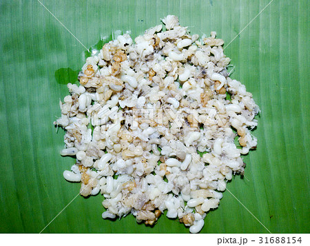 Ants egg on banana leaf. Thailand local food. Ants egg on banana leaf. Thailand local food. 31688154