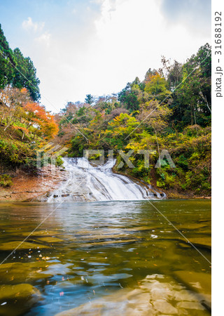 養老渓谷 （粟又の滝） 秋 31688192